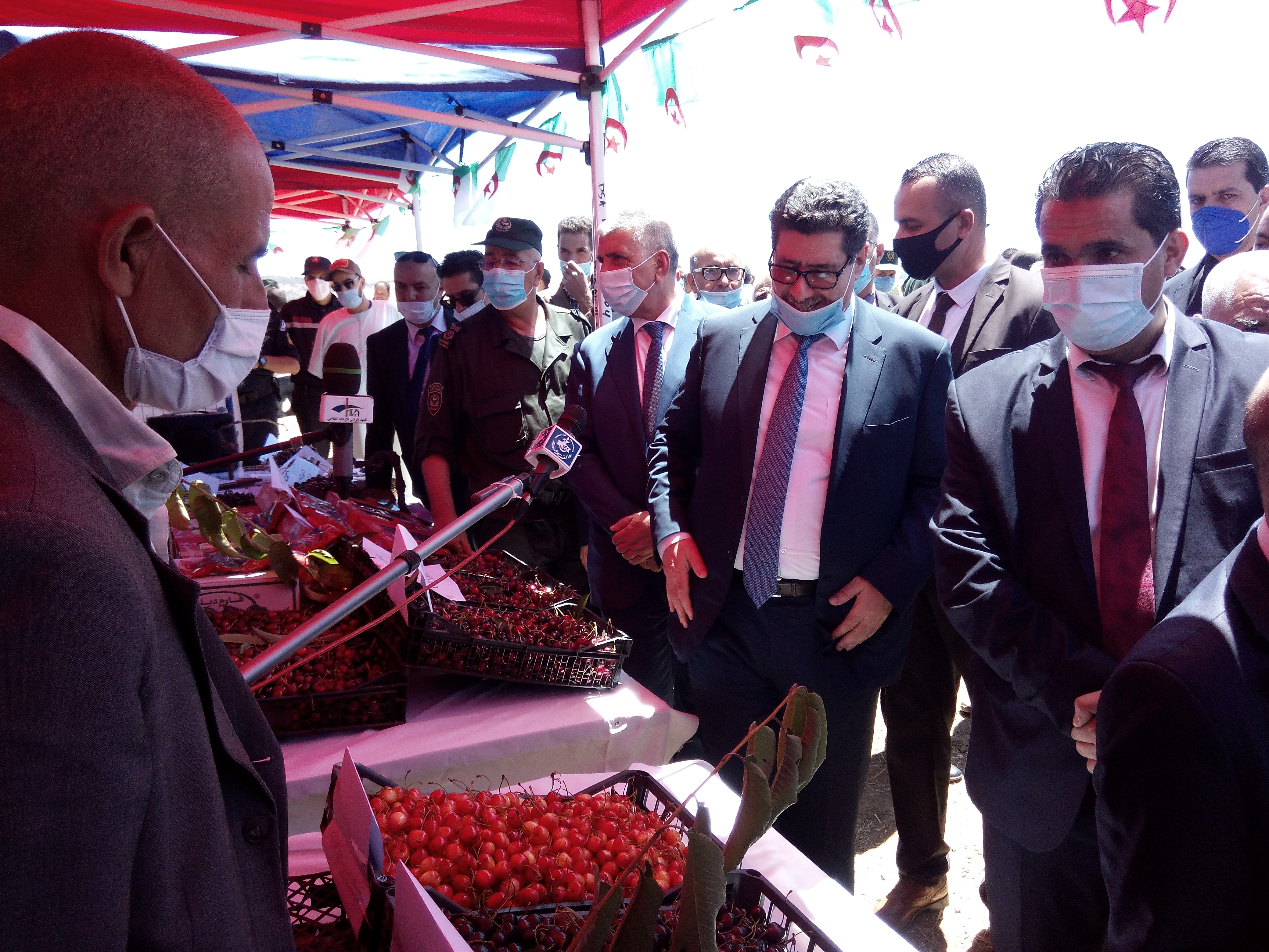 وزير الفلاحة: سنواصل مساندة الفلاحين