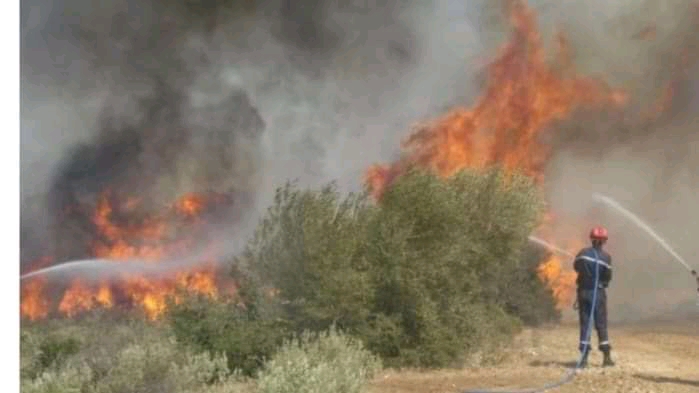 الحرائق تتلف 8800 هكتار من الغابات