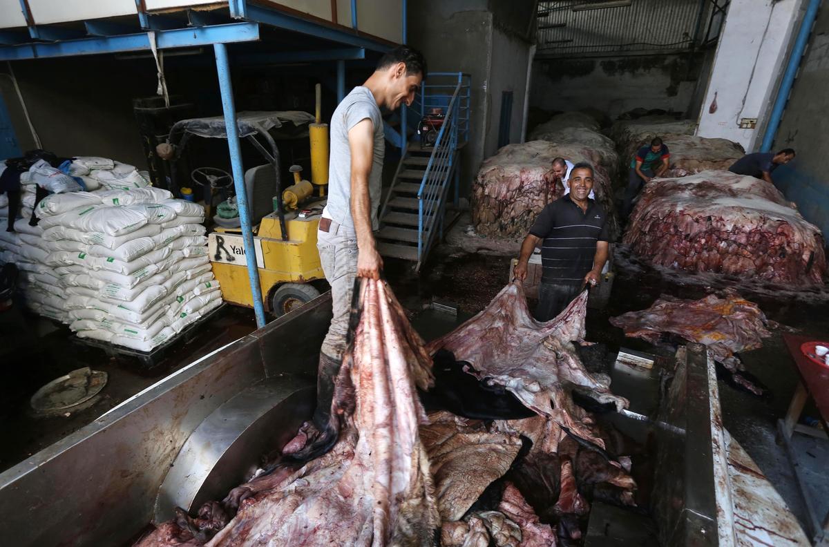 كورونا تلغي عملية جمع جلود الأضاحي